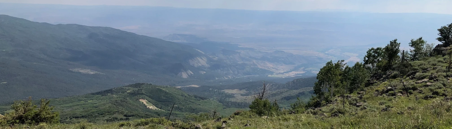 View of the valley from atop the Grand Mesa.