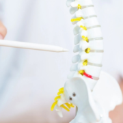 Chiropractic spinal adjustment for vertebral subluxation